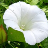 1808F 131 Donau-Regen Radweg